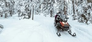 Ski-Doo EXPEDITION SWT 900 ACE (650W) ES 2021