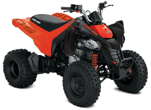 Can-Am DS 250 2022